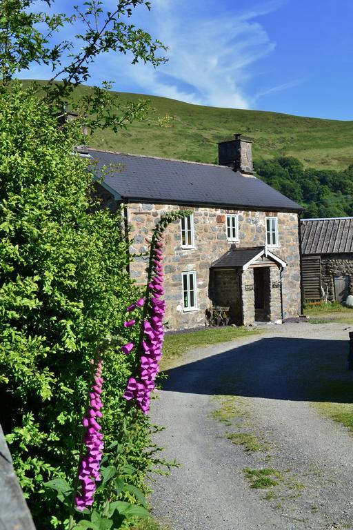 The Firecat Country House Guesthouse Mallwyd Extérieur photo